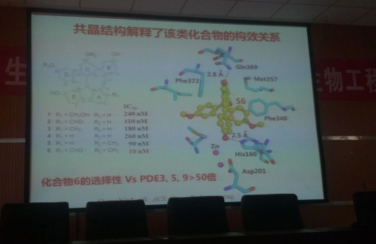 中山大学尹胜教授来我司进行学术交流