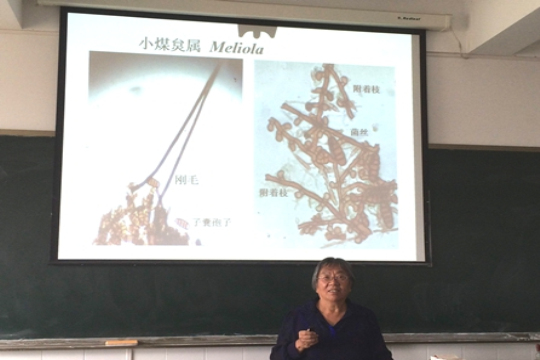 我司特邀西南林业大学周彤燊教授来院讲学